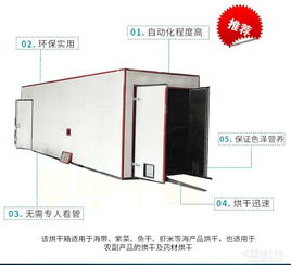 果蔬烘干機(jī) 現(xiàn)代家庭營養(yǎng)與便捷的守護(hù)者