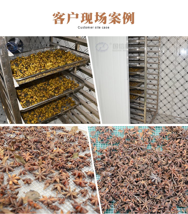 國信八角烘干機(jī) 茴香干燥、中藥材脫水的全自動(dòng)化解決方案